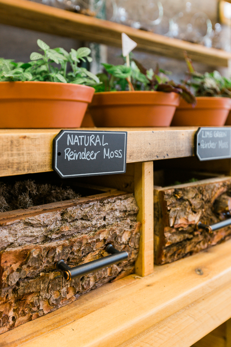 terrarium bar