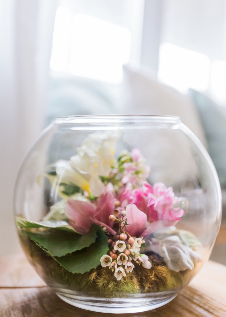 DIY Valentines Terrarium – East & Lane